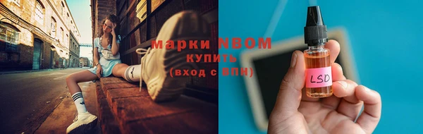 дживик Богородицк