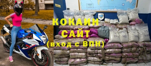 дживик Богородицк