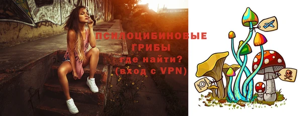 соль курить ск Бородино