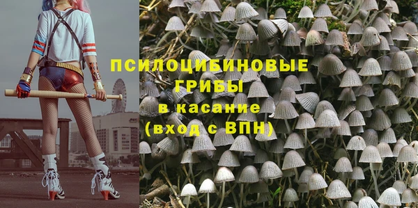 соль курить ск Бородино