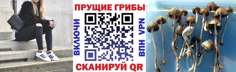 даркнет клад  Мытищи  Псилоцибиновые грибы прущие грибы 